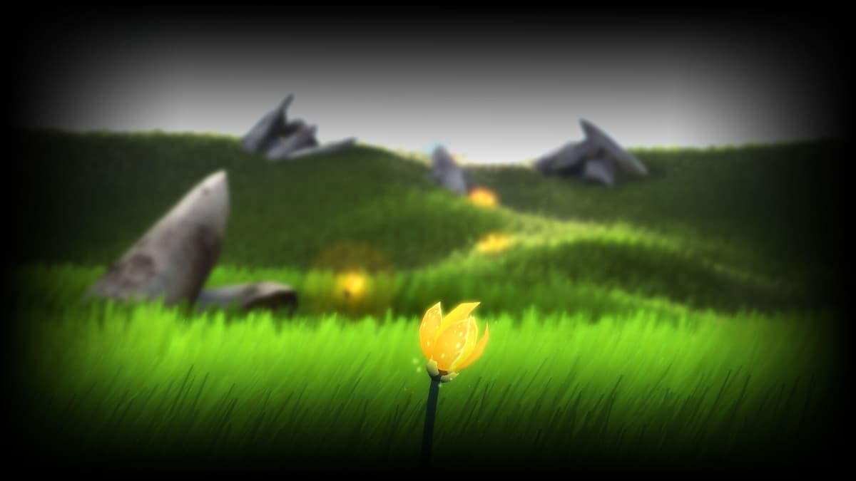 Petals