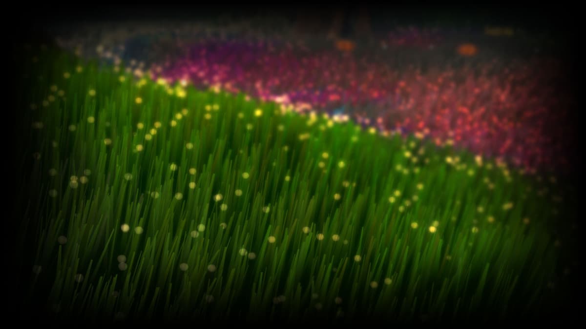 Field