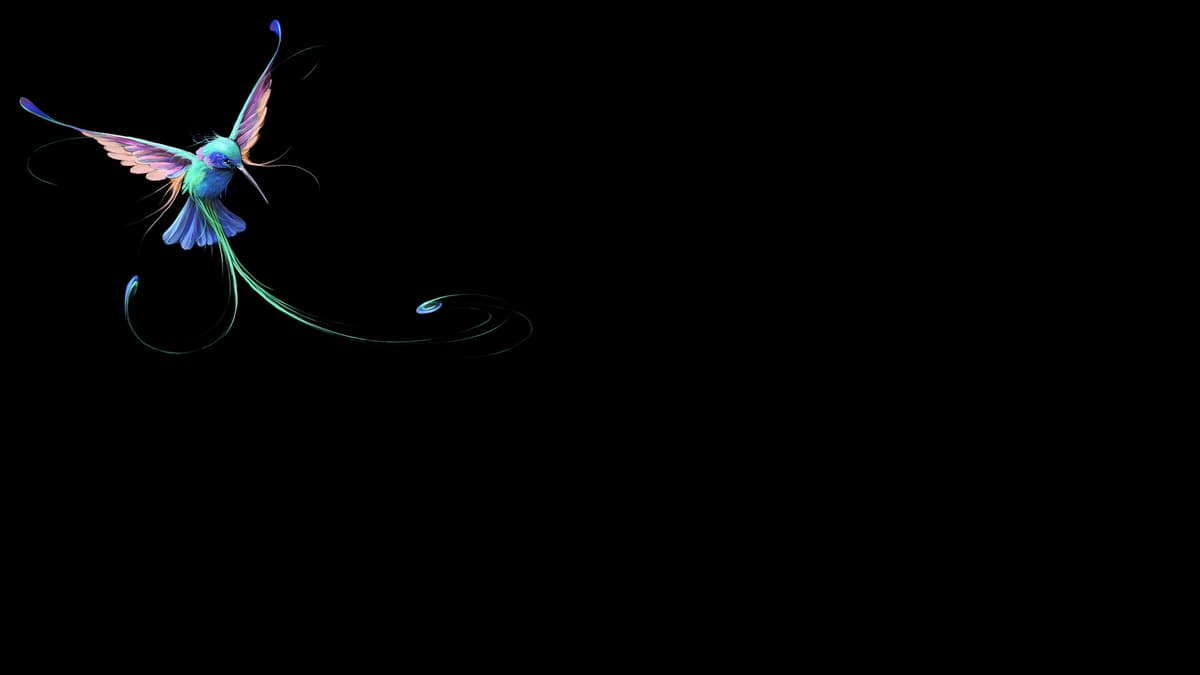 The Tiny Background - Colibri
