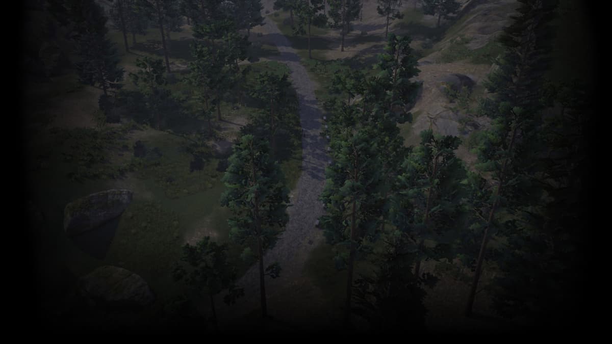 Into the woods (Profile Background)