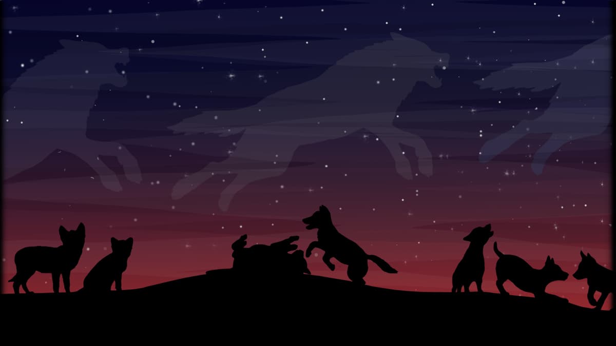 Dream Night Sky