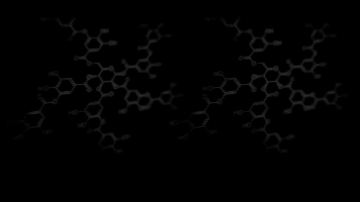 ResearchNet